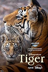 Watch Free Tiger (2024)